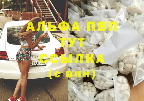спайс Карпинск