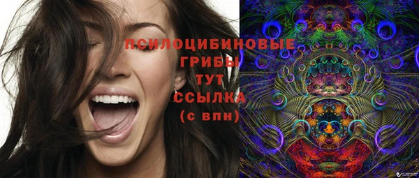 спайс Карталы