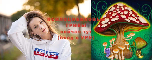 спайс Карпинск