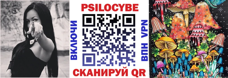 Купить закладки  Шатура  Псилоцибиновые грибы Psilocybine cubensis 